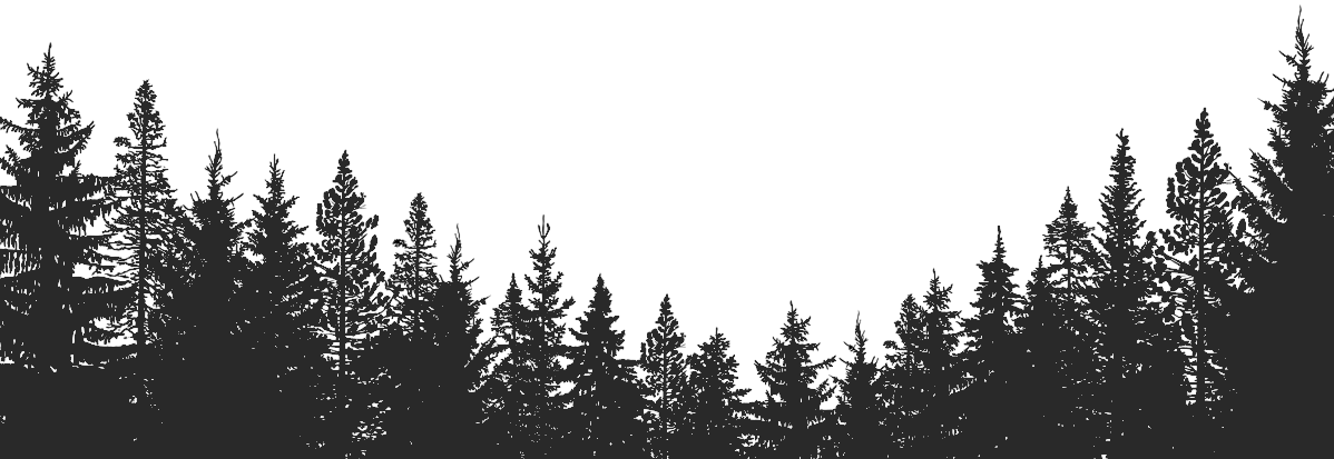 forest-background